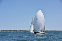 2019 Figawi_0256