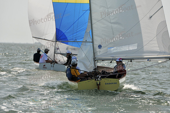 2012 Thistle Midwinters B 1442