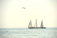 2014 Cape Charles Cup A 214