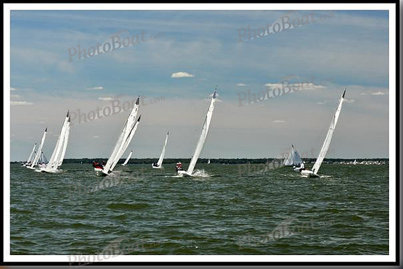 proof_2010_EScows_E 168