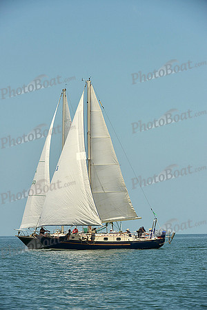 2015 Southern Bay Race Week F 841