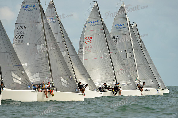 2015 Melges 24 Miami Invitational D 181