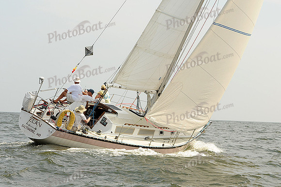 2012 Gov Cup A 919