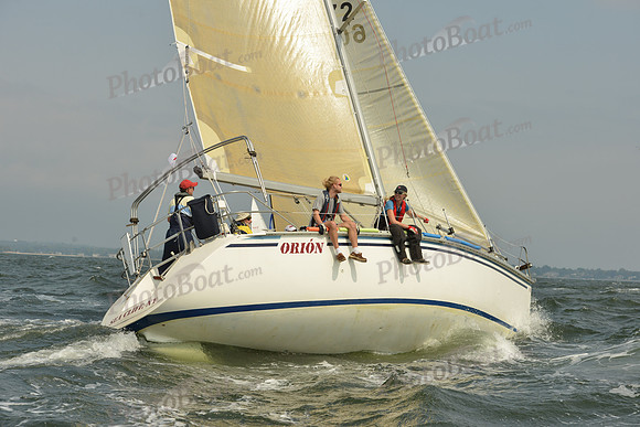 2015 Vineyard Race A 335