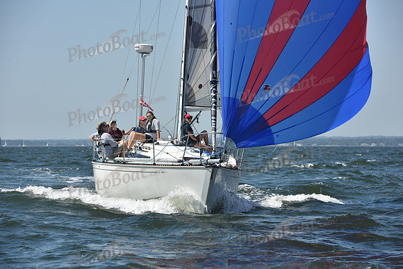 2019 Vineyard Race A_1100