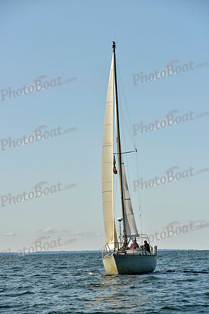 2017 Stamford Denmark Race_0183