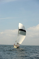 2013 Vineyard Race A 943