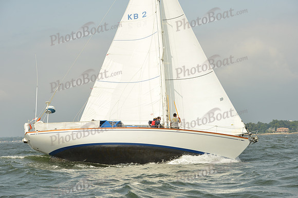 2015 Vineyard Race A 308