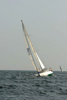 2011 Vineyard Race B 045
