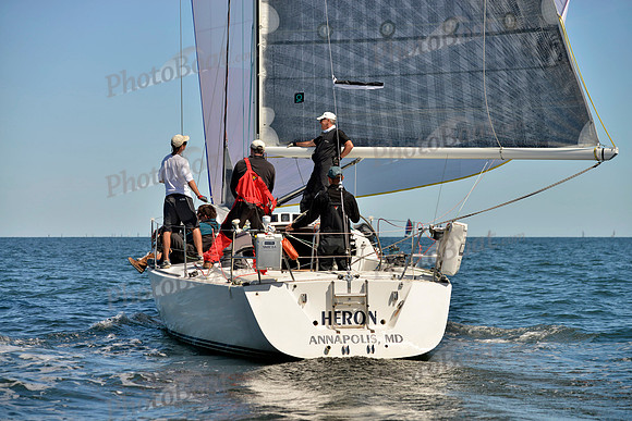 2017 Vineyard Race A_1230