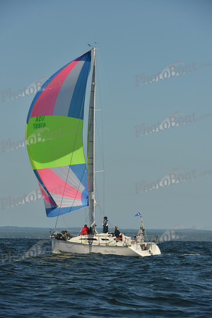 2015 Vineyard Race C 224