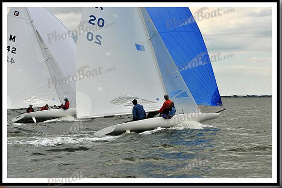 proof_2010_EScows_B 496