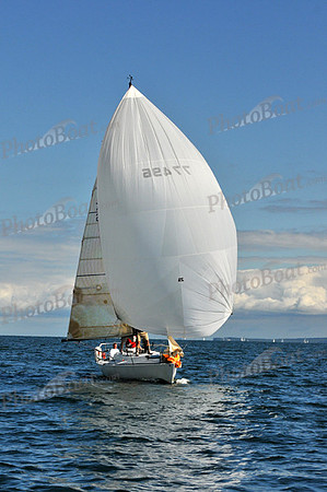 2010 IRC LIS 1917