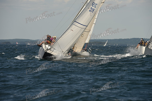 2016 Chester Race Week A_1443