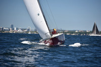 2022 Vineyard Race A_0570