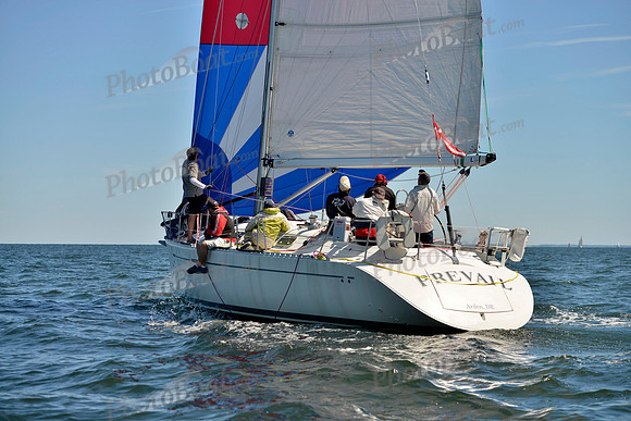 2017 Vineyard Race A_1098