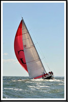proof_2010_Vineyard_Race_1479