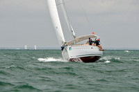 Jubilee Rose