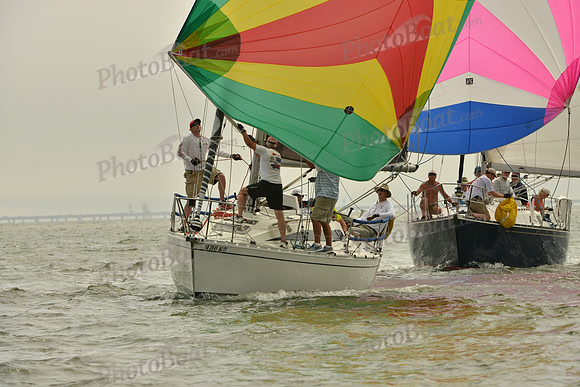 2016 Southern Bay Race Week A_0384