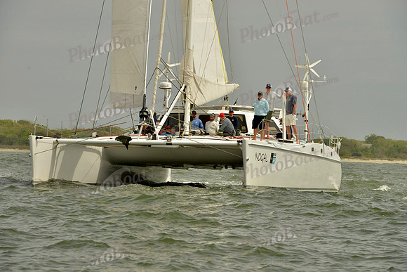 2019 Charleston Race Week A_0794
