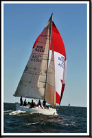 proof_2010_Vineyard_Race_0610