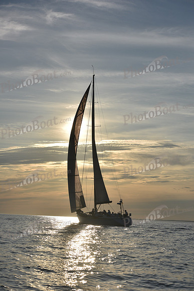 2019 Vineyard Race B_0452
