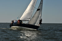 2010 Leukemia Cup 015