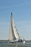 2014 Southern Bay Race Week D 374