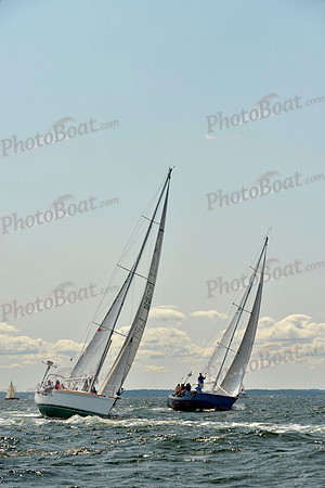 2017 Stamford Denmark Race_0707