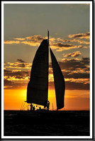 proof_2010_Vineyard_Race_2370
