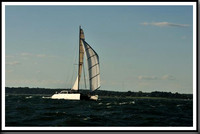 proof_2010_Vineyard_Race_1790