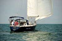 2014 Cape Charles Cup A 569