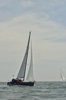 Sea Wings