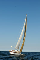 2011 Vineyard Race A 2120