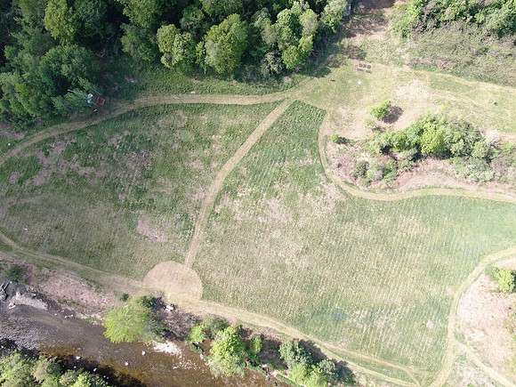DJI_0924