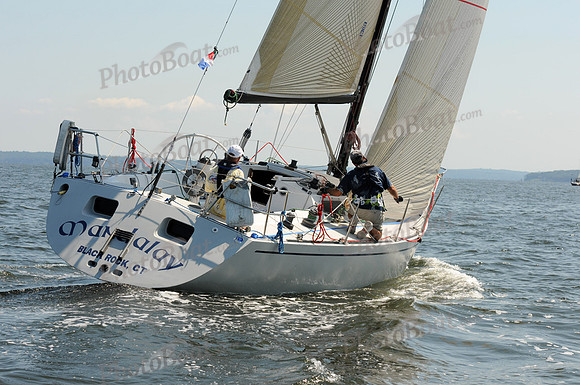 2011 Vineyard Race A 509