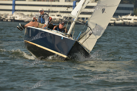 2015 NY Architects Regatta A 174