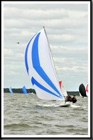 proof_2010_EScows_A 828