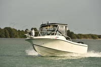 2019 Feb 10 Tampa Bay A_0832