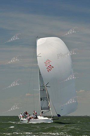 2013 Southern Bay Race Week D 1504
