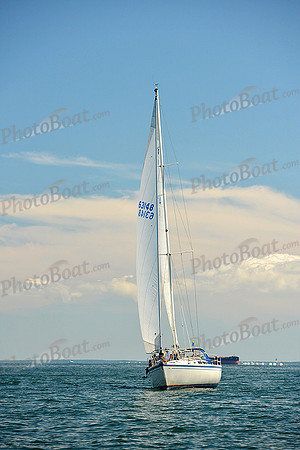 2015 Cape Charles Cup C 616