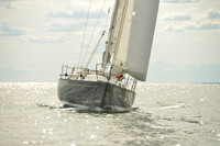 2016 Vineyard Race A_1738