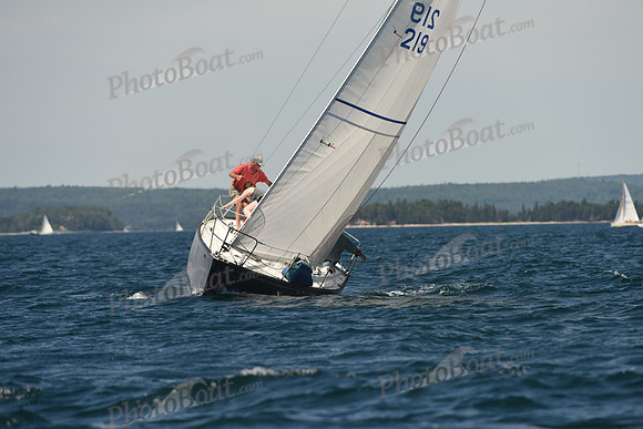 2016 Chester Race Week A_0534