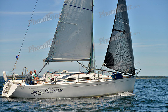2017 Vineyard Race A_0951
