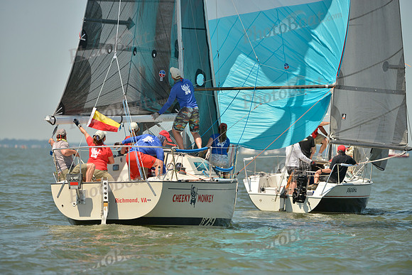 2017 Southern Bay Race Week A_0633