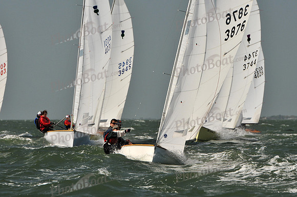 2012 Thistle Midwinters B 539