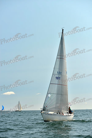 2017 Stamford Denmark Race_0288