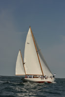 2018 Vineyard Cup A_0179