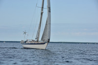2019 Around Marthas Vineyard A_0371