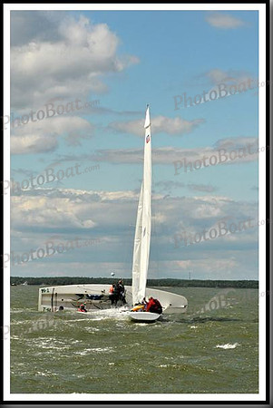 proof_2010_EScows_B 859